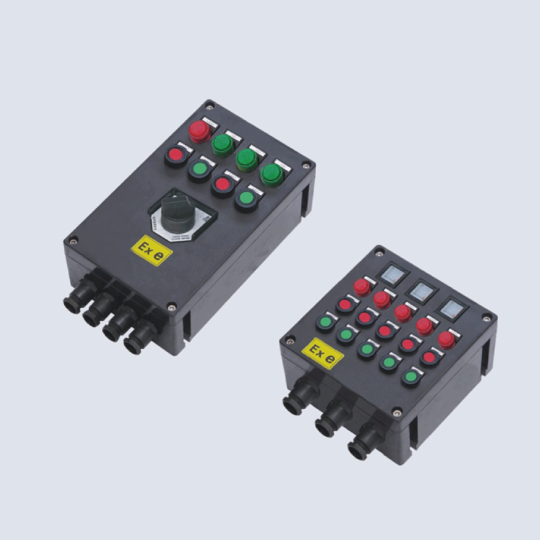BXK8050-系列防爆防腐控制箱(IIC、 ExtD)
