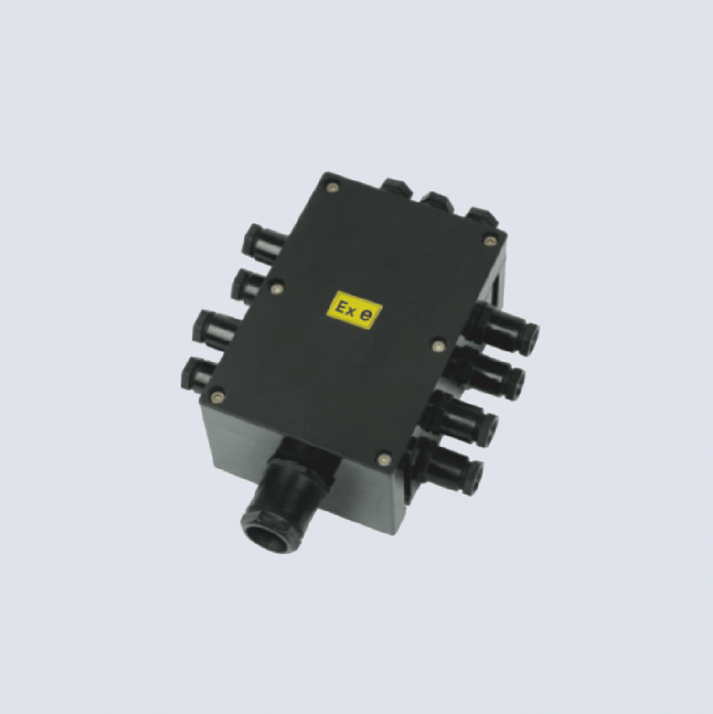 BJX8050系列防爆防腐接線箱(II C、 ExtD)